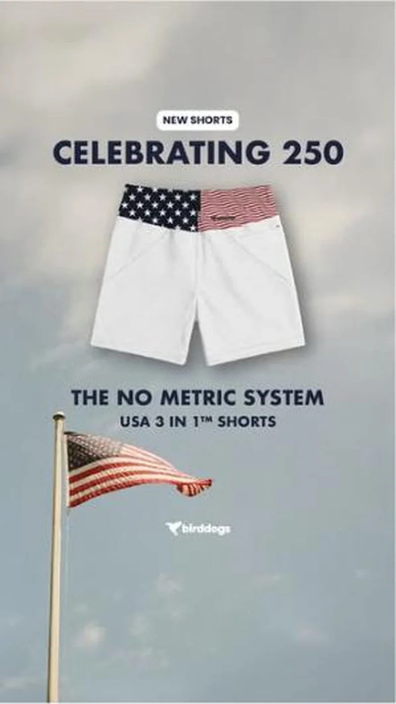 THE NO METRIC SYSTEM, flag on a gold pole