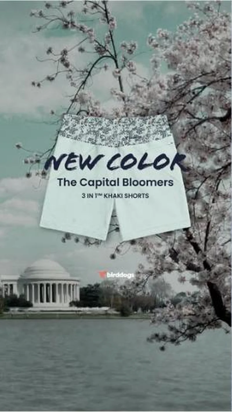 The Capital Bloomers, DC cherry blossom