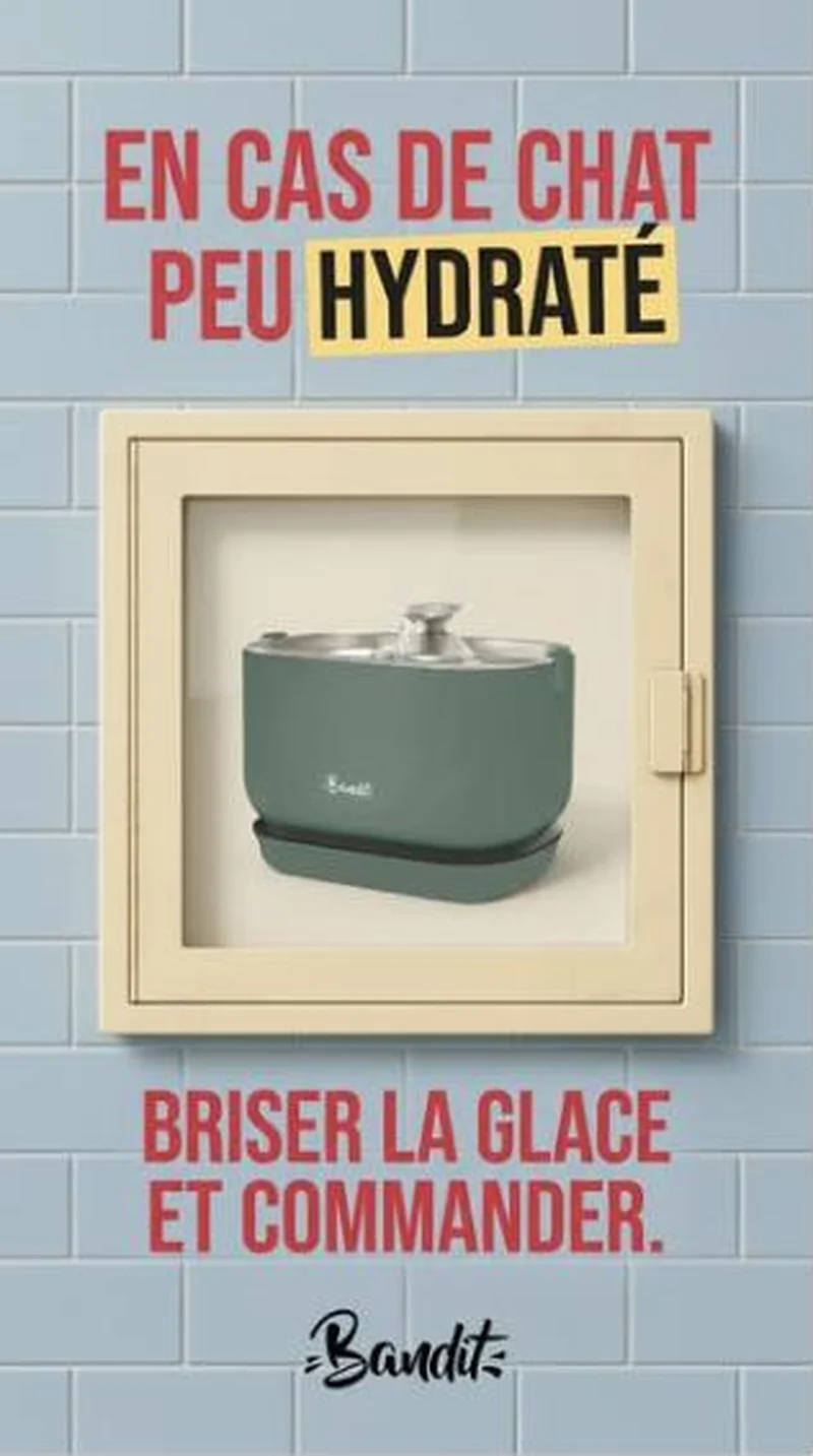 French Bandit ad creative