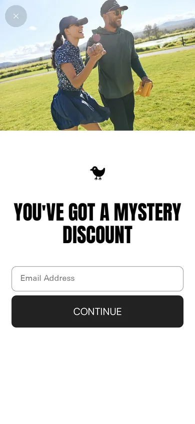 Bad Birdie welcome popup on mobile, second pane after the gate
