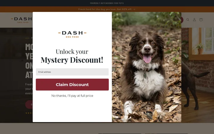 DASH Dog Food welcome popup on desktop, second pane after the gate