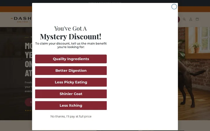 DASH Dog Food welcome popup on desktop: Mystery discount