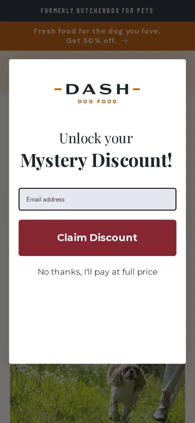 DASH Dog Food welcome popup on mobile, second pane after the gate