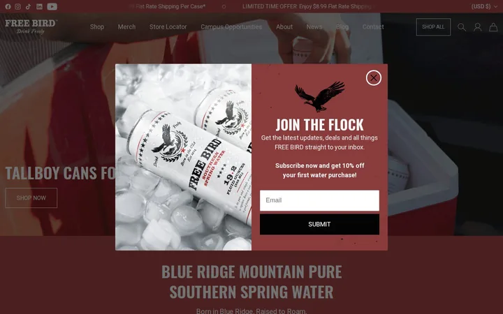 Free Bird welcome popup on desktop: 10% off