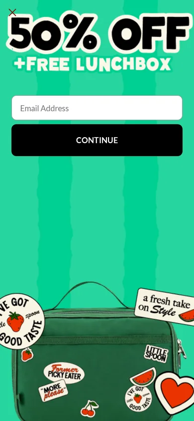 Little Spoon welcome popup on mobile, second pane after the gate