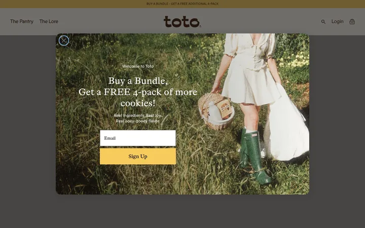 Toto Foods welcome popup on desktop: No stated offer